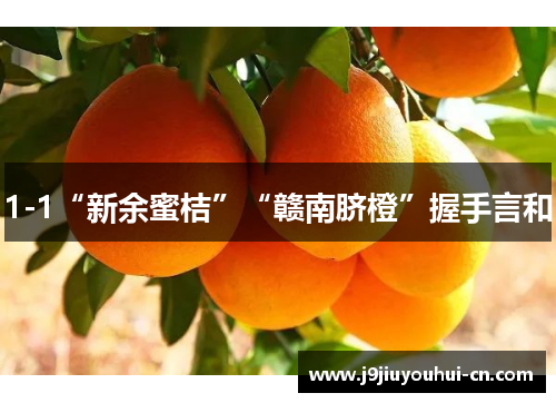1-1“新余蜜桔”“赣南脐橙”握手言和